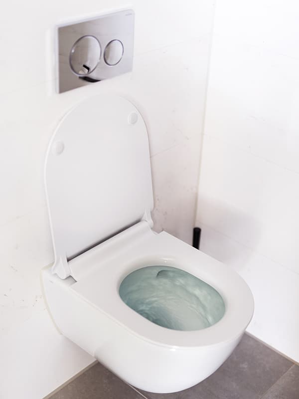 Randloos toilet